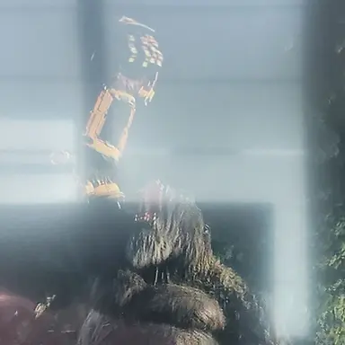 Profile image of 킹콩