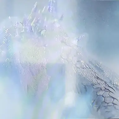 Profile image of 시모