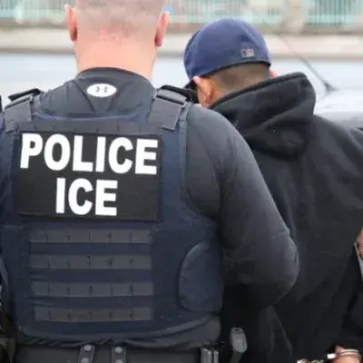 RobustReef8951의 The Wardens