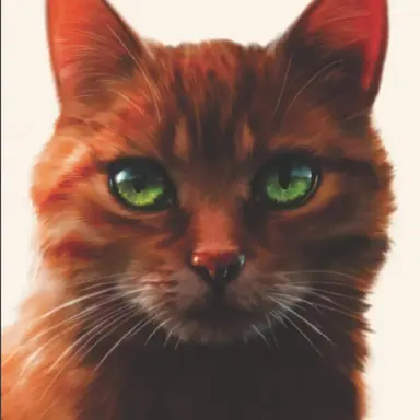 Profile image of 파이어스타