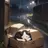 拾った猫が人間になった件