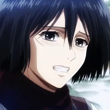 Profile image of ミカサ