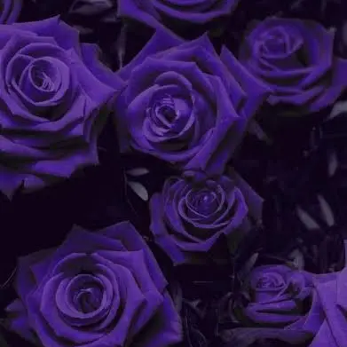 IdealFate9174의 あ