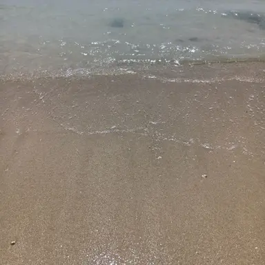 Profile image of 日本