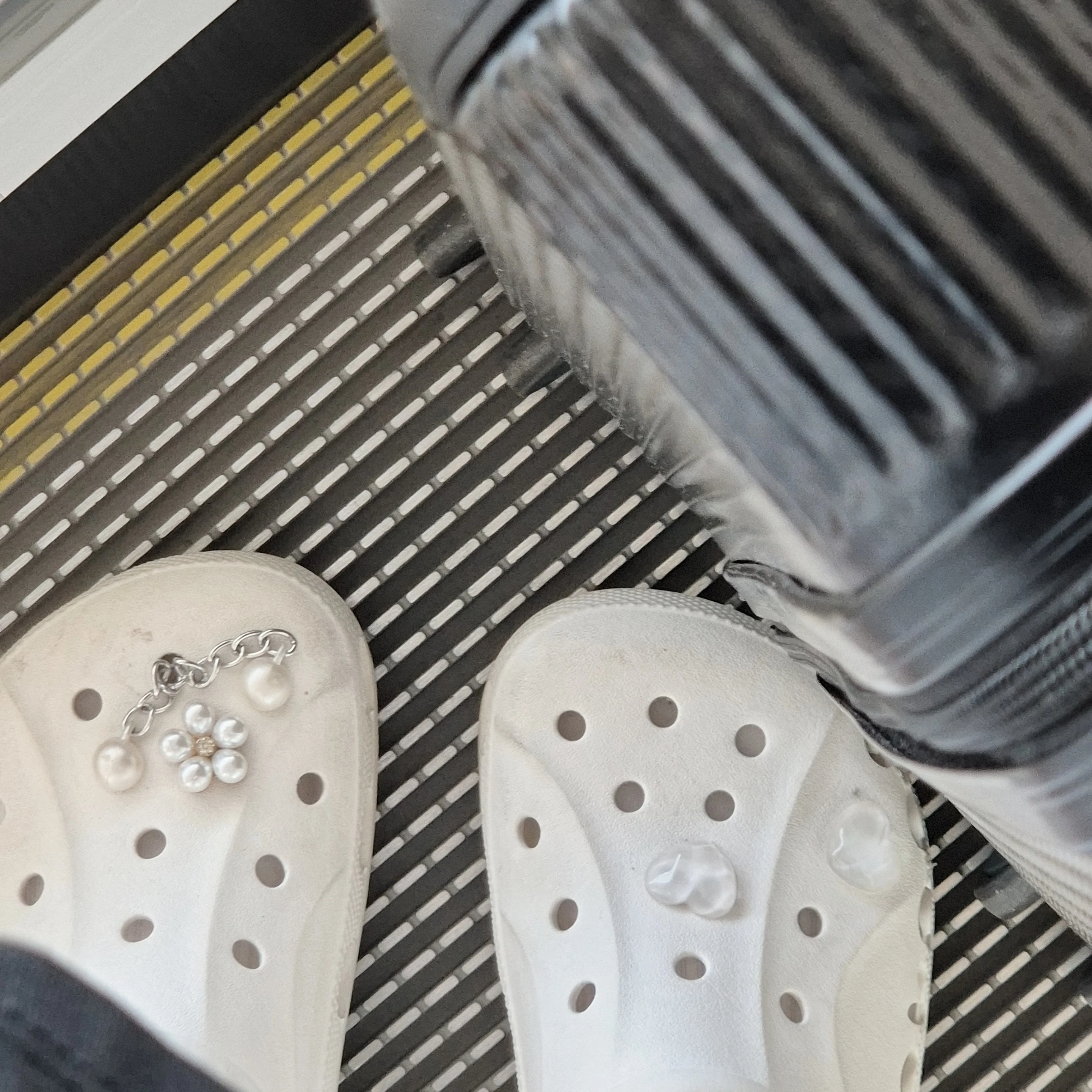 뜰팁고등학교