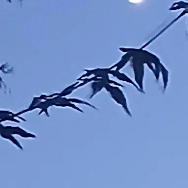 Profile image of 최수빈