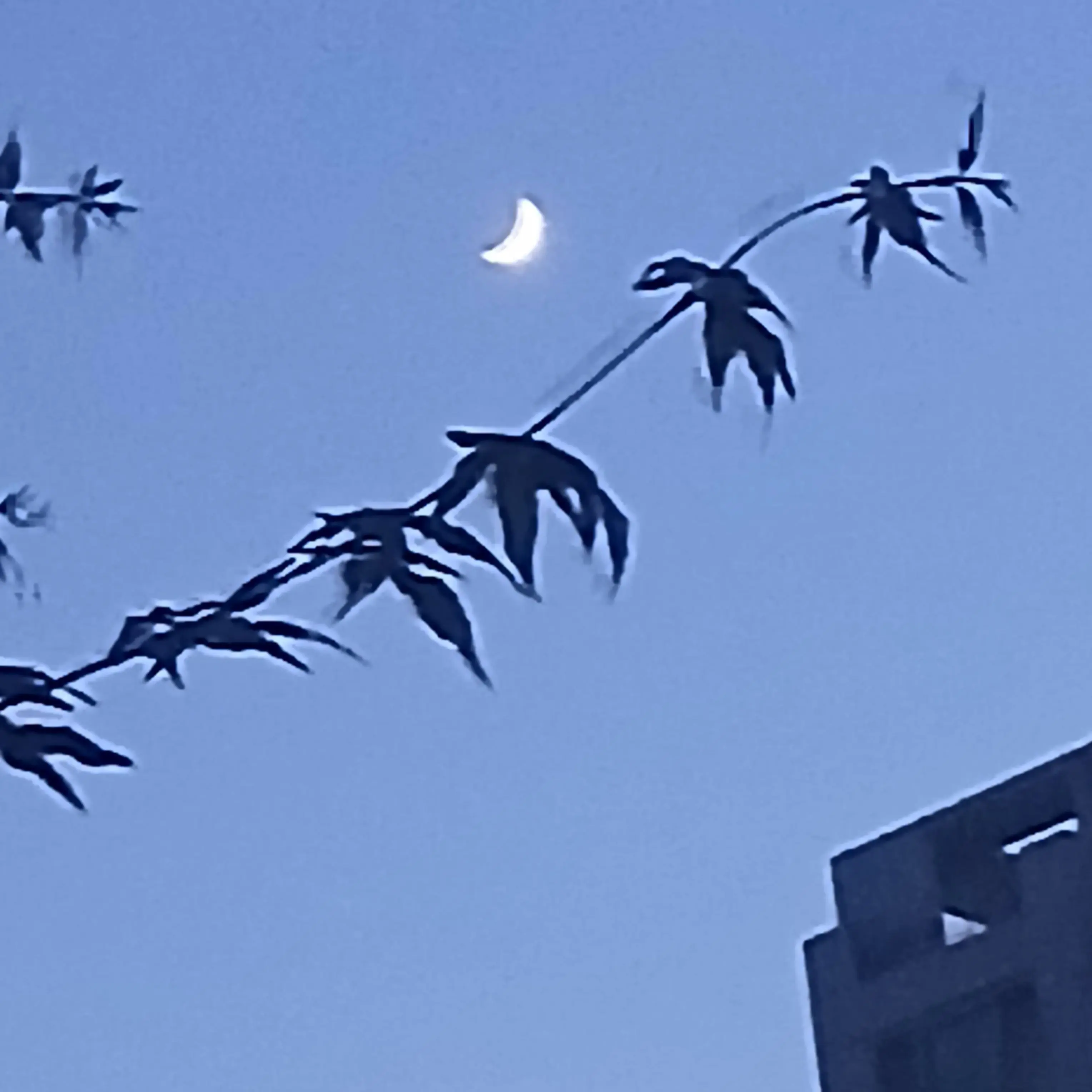 TriteTent5184의 남돌 사이에 낀 여자 아기