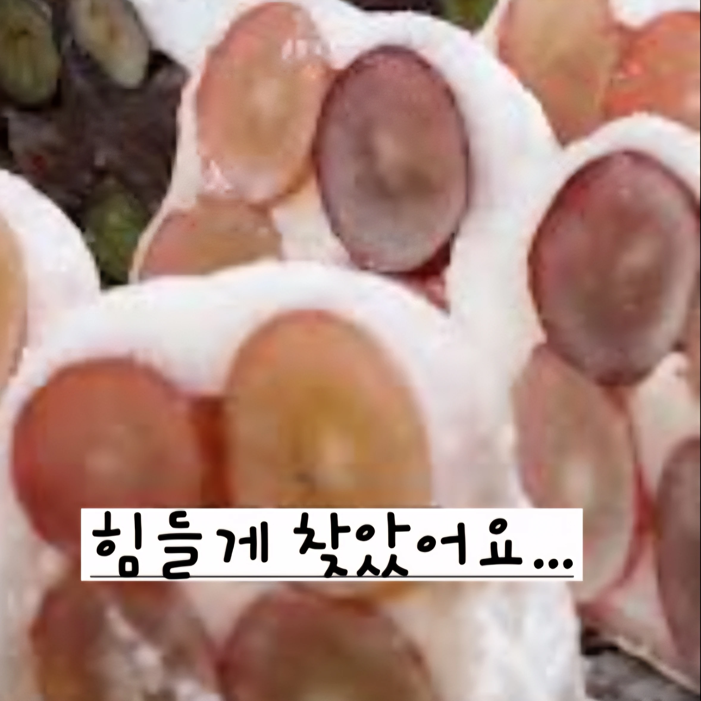 보라모찌