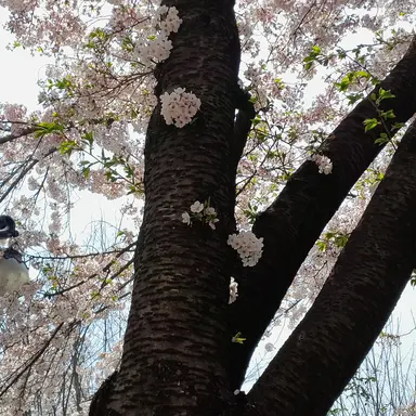 Profile image of 박해성