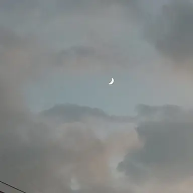 Profile image of 백은후