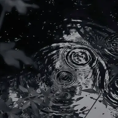 Profile image of 우융