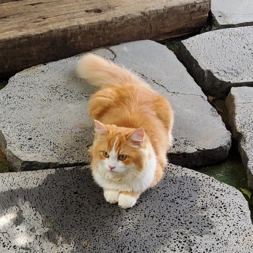 벨룬