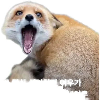 Profile image of 여우