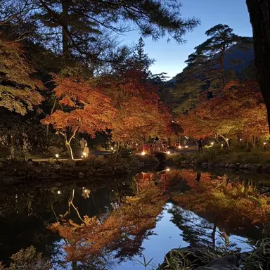 Profile image of シュアヤ