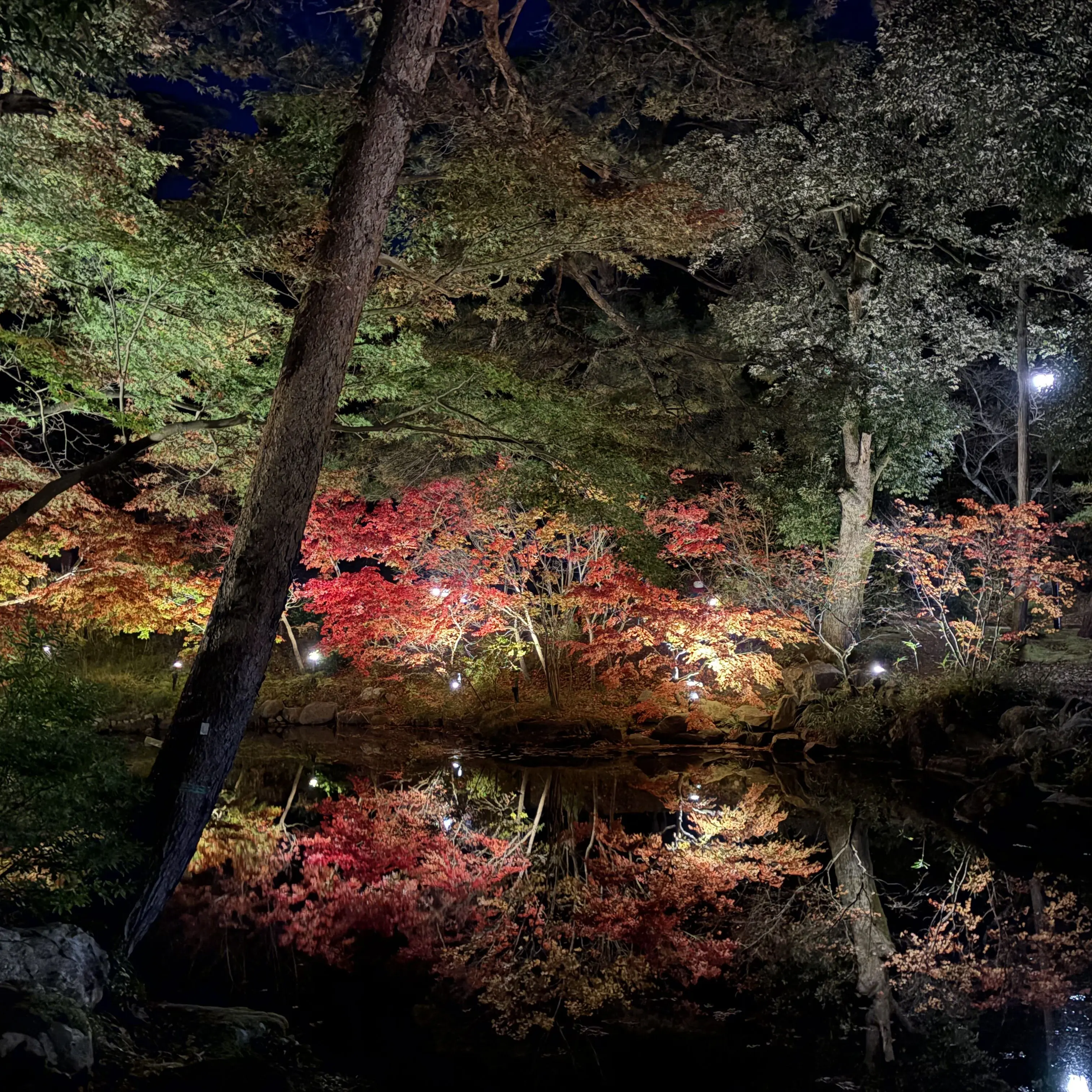 AngryKea2715의 禁断？