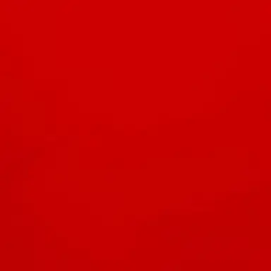 Profile image of 플래그