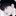 김민규 