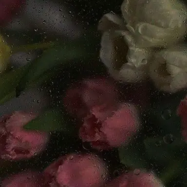 Profile image of 나루미 겐