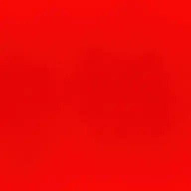 Profile image of 立花琴未