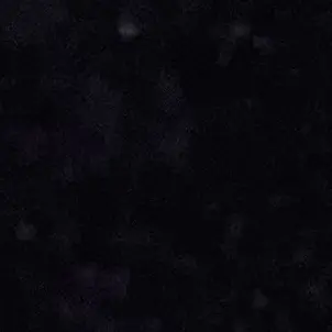 BEE_oner의 댄세 스파이팀
