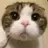 ユウキ