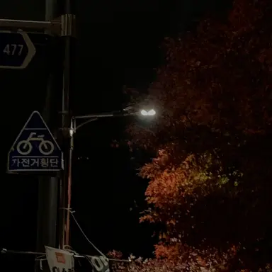 Profile image of 박 덕개