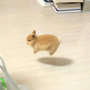 Profile image of 이나경