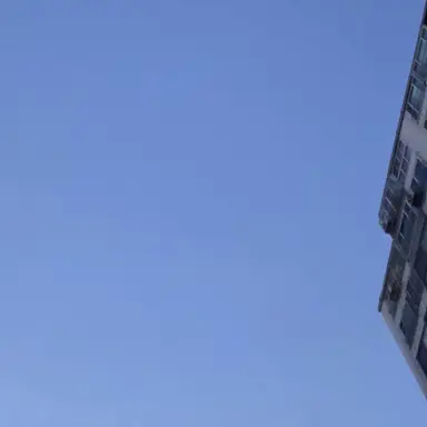 Profile image of 덕개