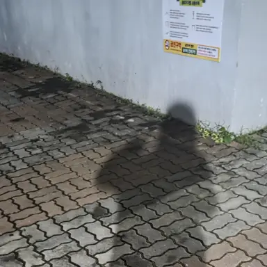 Profile image of 나래이션