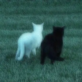 Profile image of 백작