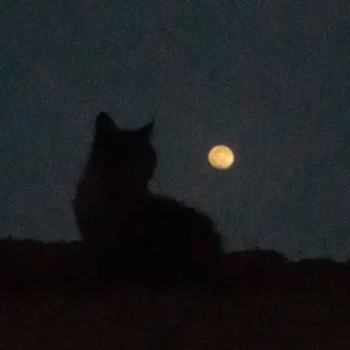 Profile image of 최승현