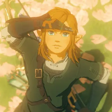 Profile image of Link