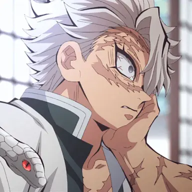 Profile image of Sanemi Shinazugawa