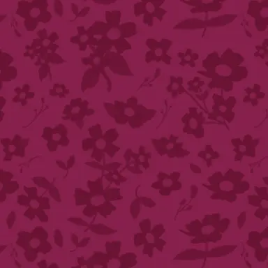 Profile image of 円果望見