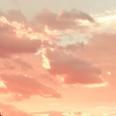 Profile image of 덕개