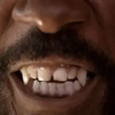 Profile image of The Pet Shop Owner