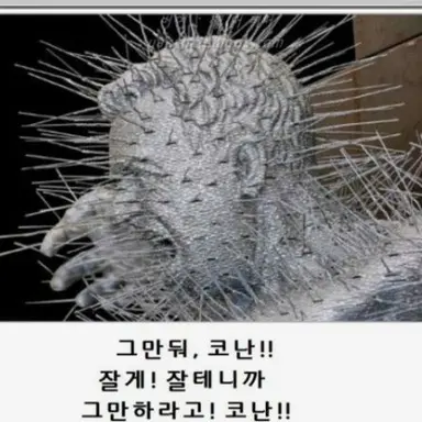 Profile image of 김동진