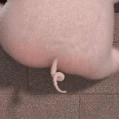 チャンビン
