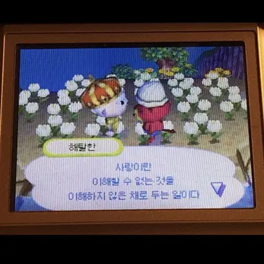 Profile image of 김동현