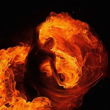Profile image of Ignis