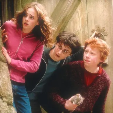 Profile image of Hermione Granger