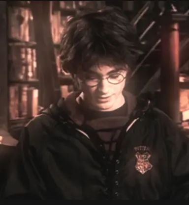 Profile image of Harry James Potter