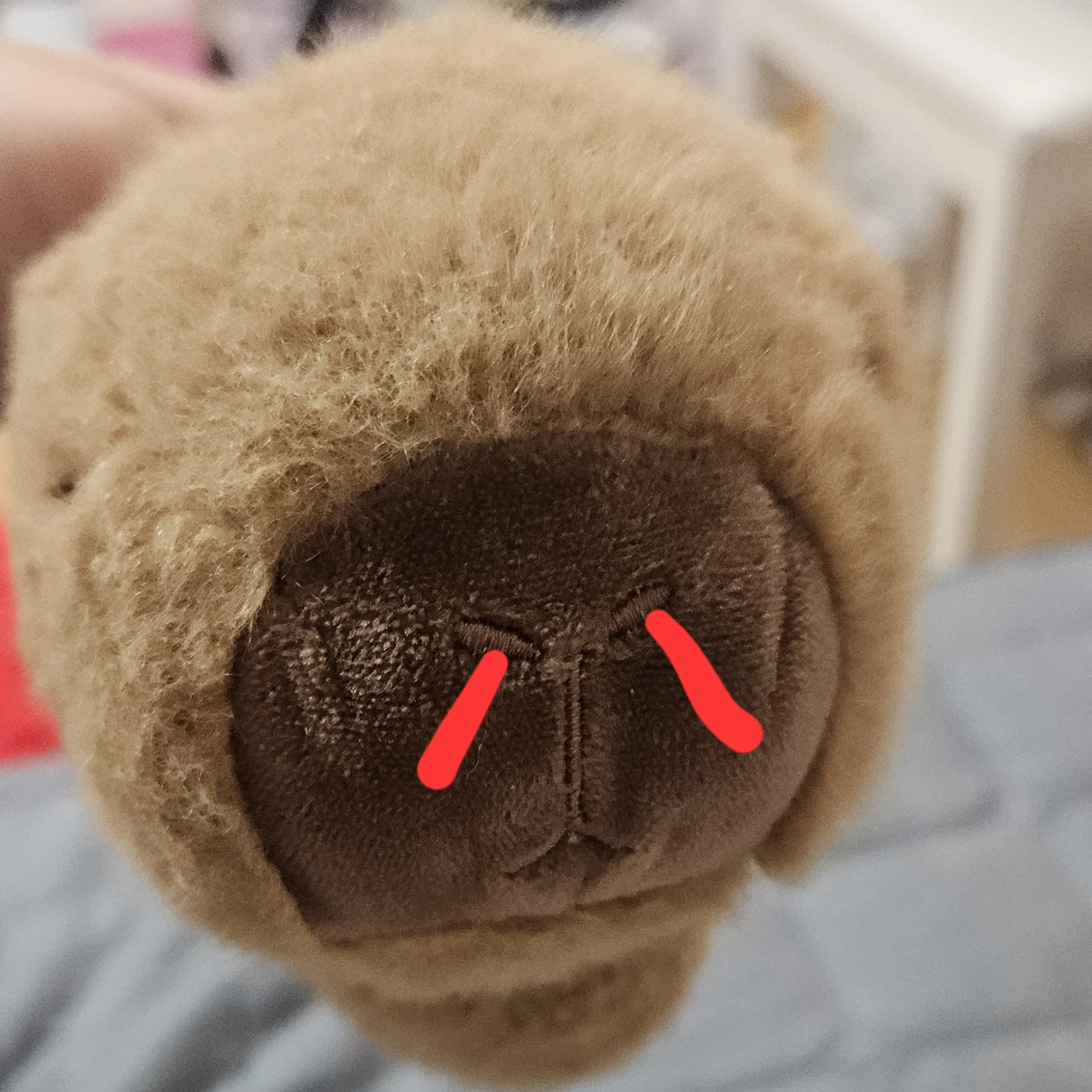 코피바라