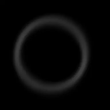 Profile image of H