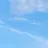 의사