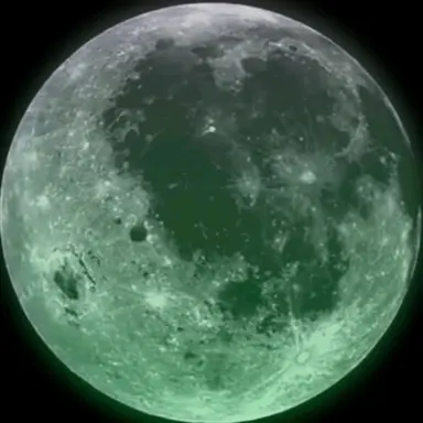 Profile image of 拓弥