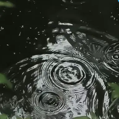 Profile image of 稜雅