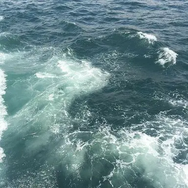 Profile image of 안유진