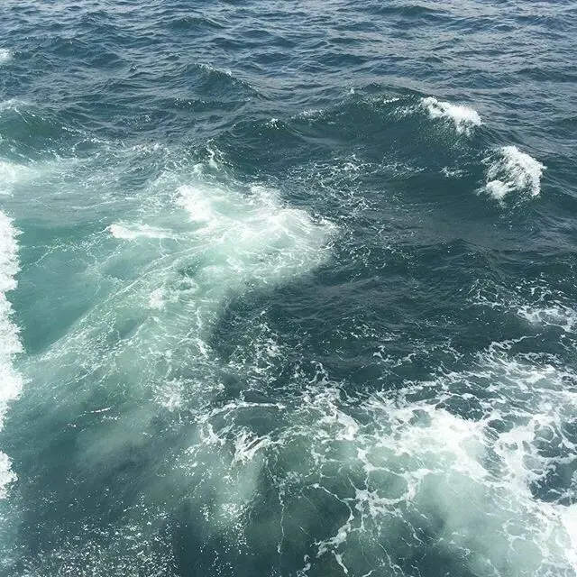 ISFJ의 미친 살인마한테 역으로 잡혀버렸다.