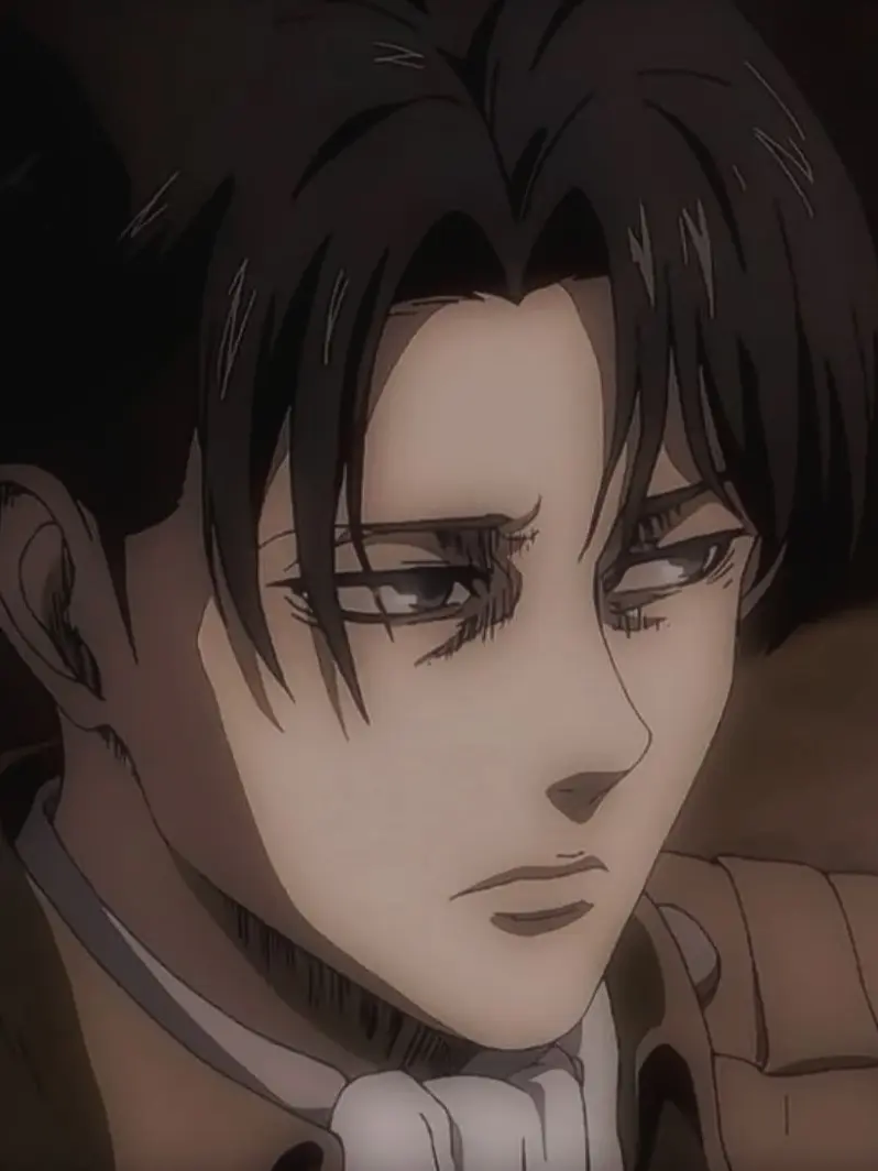 TartTulip0977의 리바이 아커만